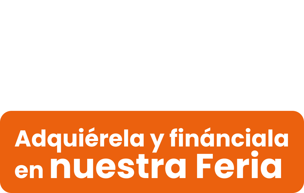 Vives en boston